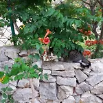 I Appartamento